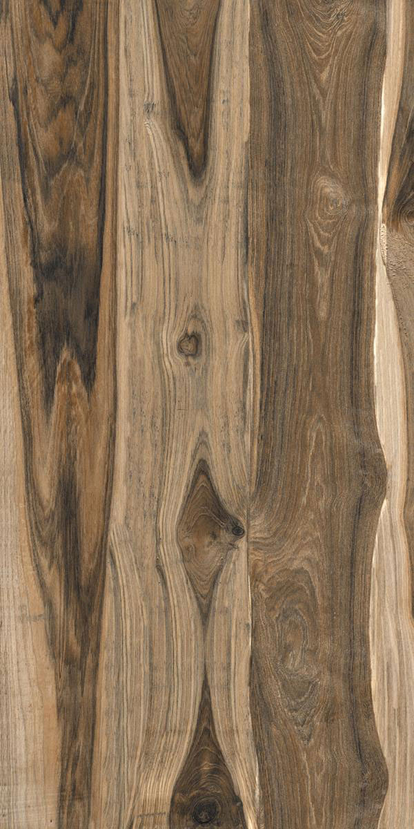CHOCONUT WOOD F4